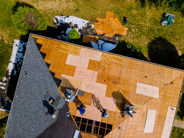 Best Storm Damage Roof Repair  in Crestwood Village, NJ